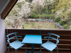 Blaues Zimmer mit grossem Balkon, Bad ist ein Traum, 50 Schritte zum Radweg am Main,ideal for short stay